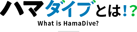 ハマダイブとは!?